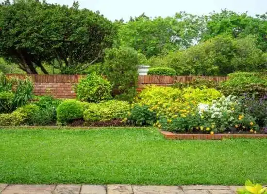 landscaping services Walnut Creek